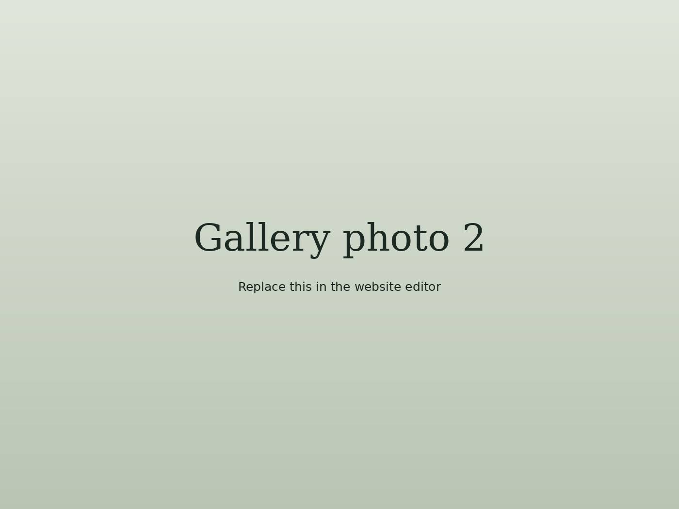 Photo from the cafe