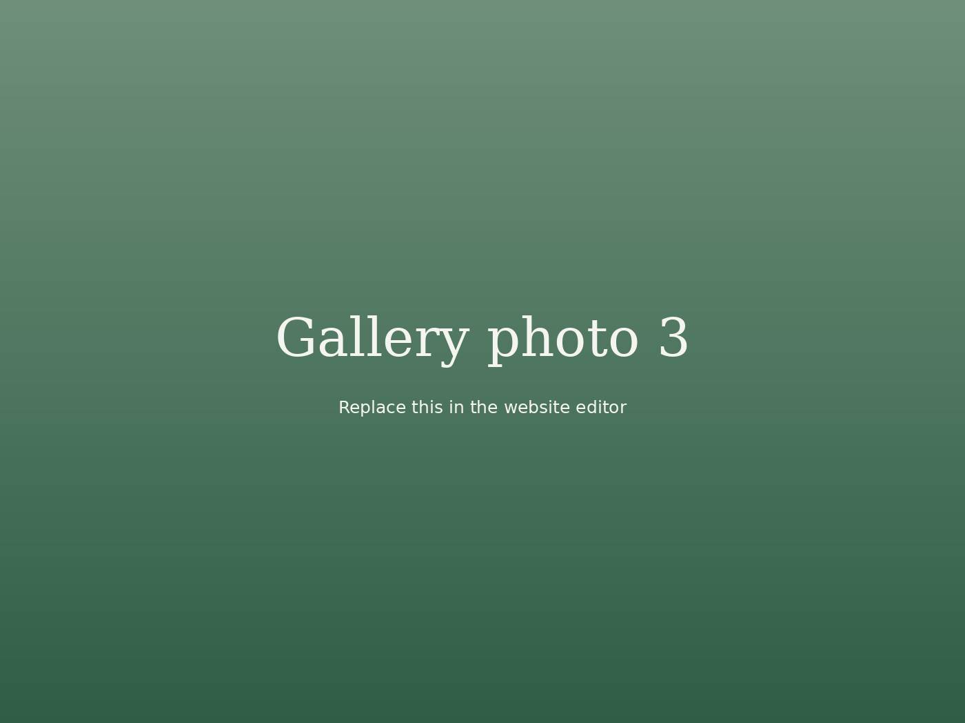 Photo from the cafe