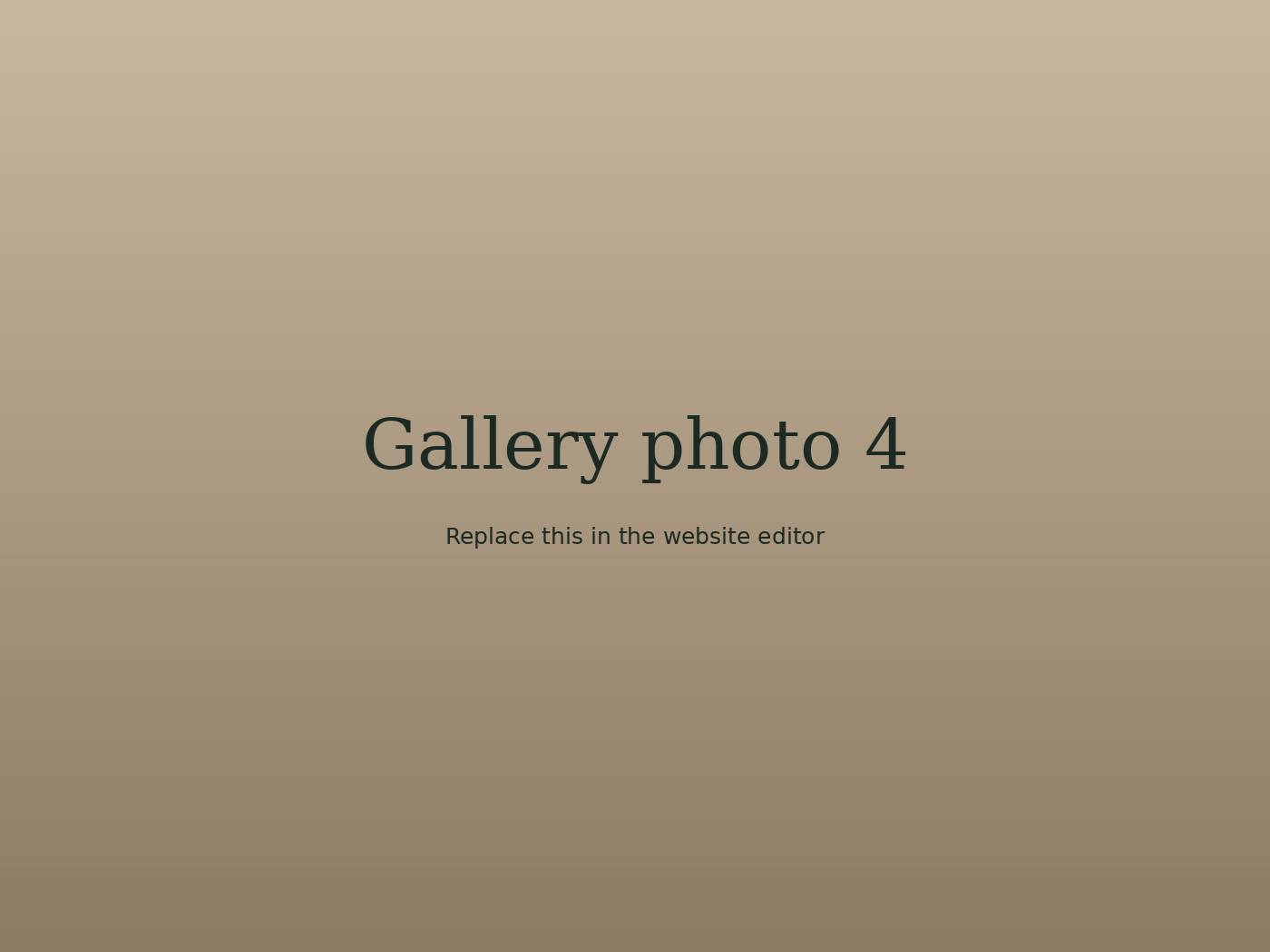 Photo from the cafe