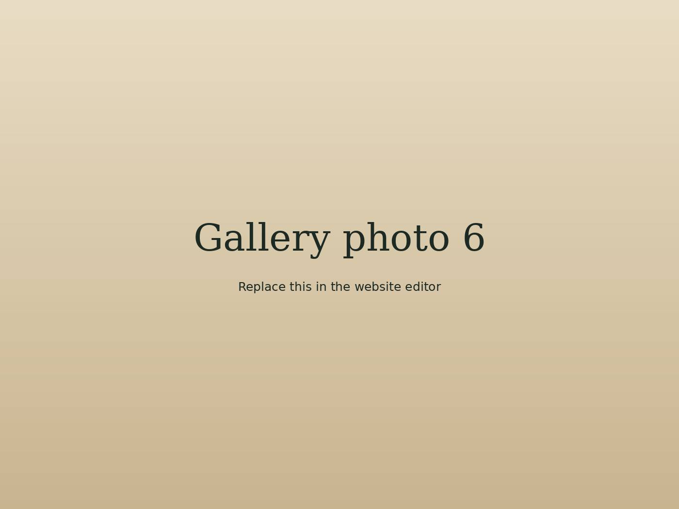 Photo from the cafe